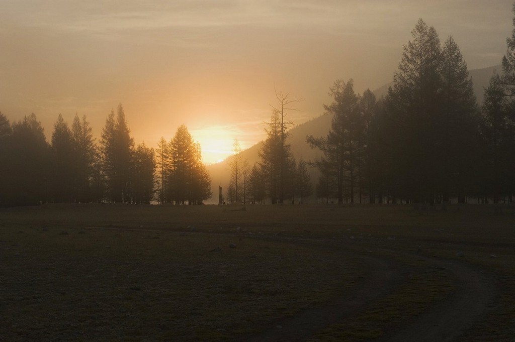 ���� ��������...