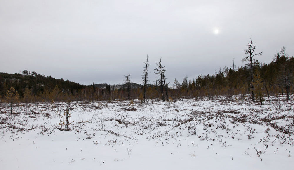 ��������� �����