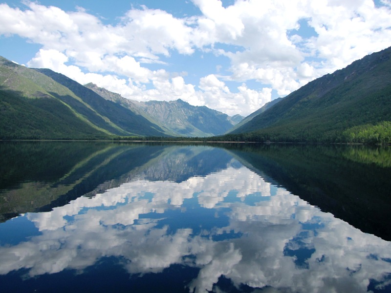 ����� ������� (������)