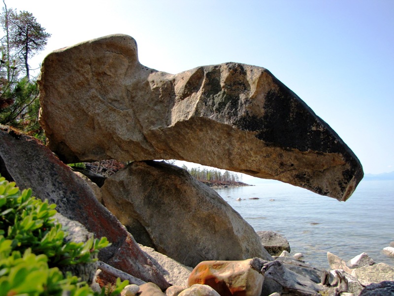 �������� ����������