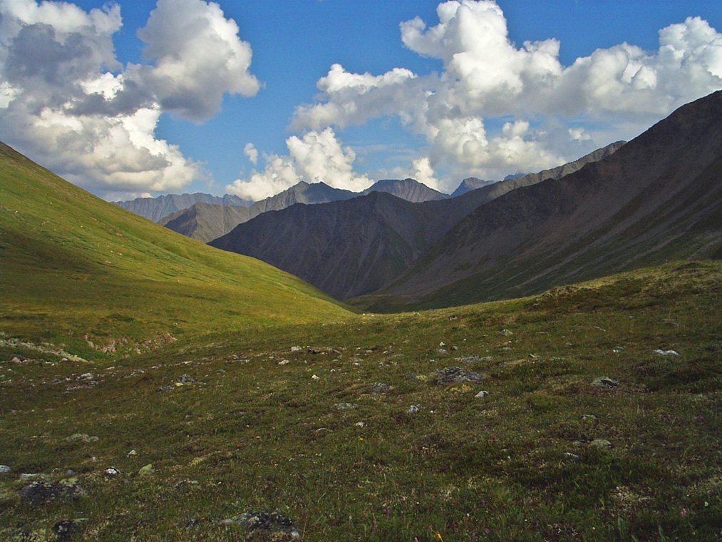 ������ ����