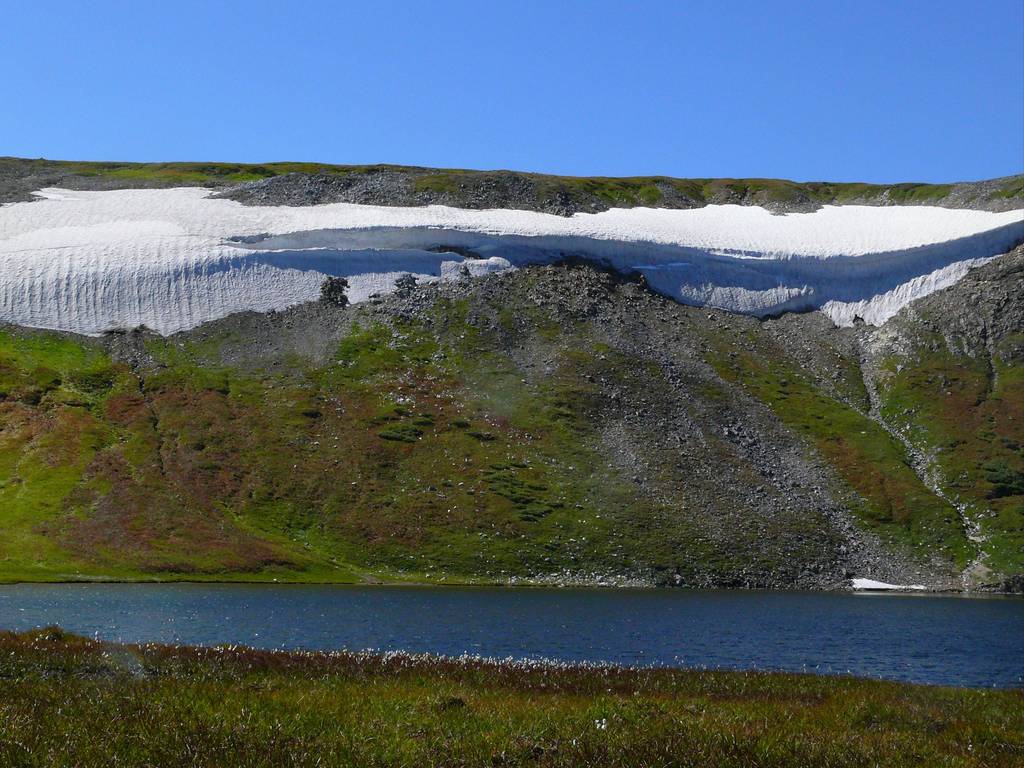 ����� ���� �������..:)