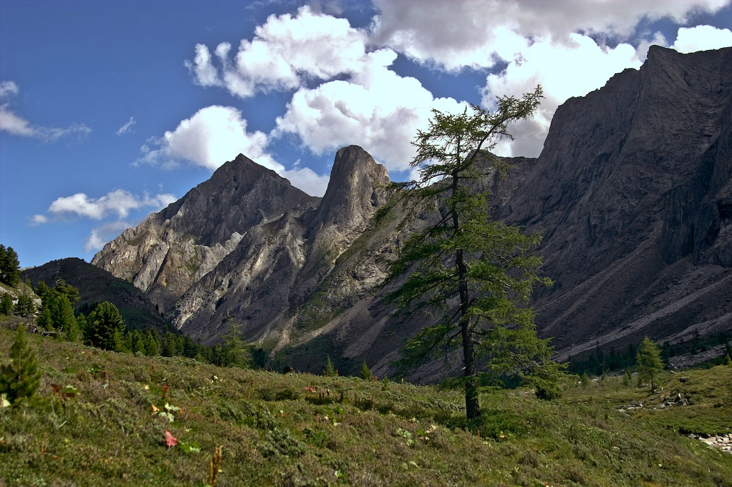 ������ ��������