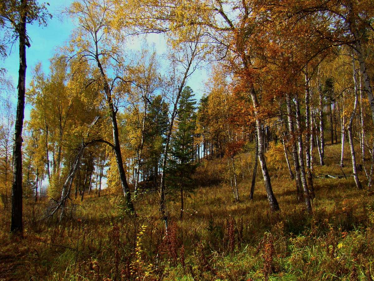 �������������� �����