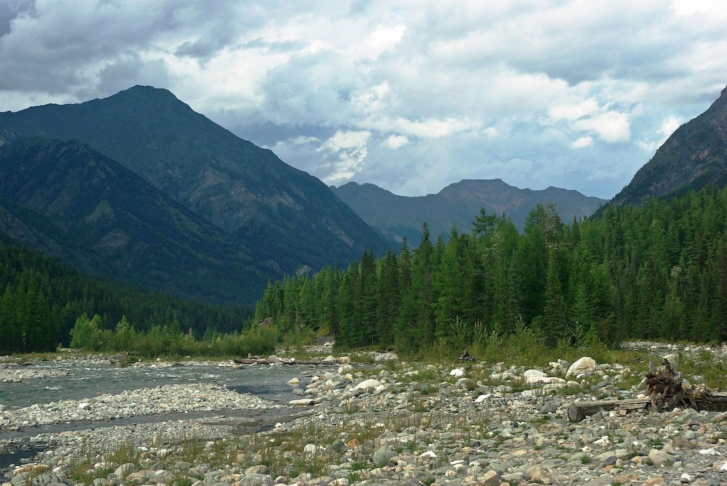 ���� ��������� �����