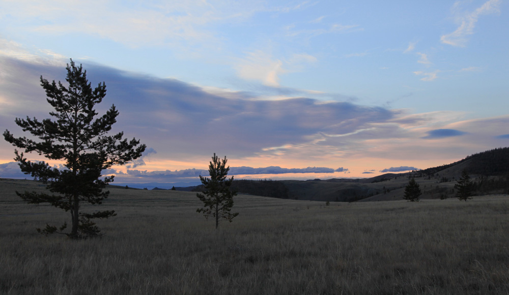 ����������