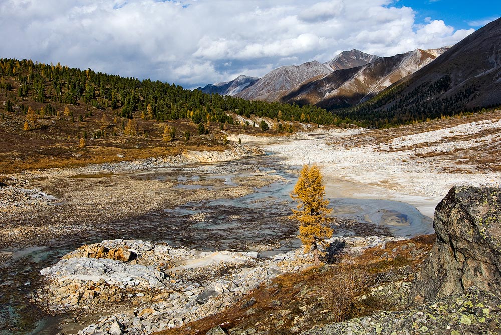 ������� ������