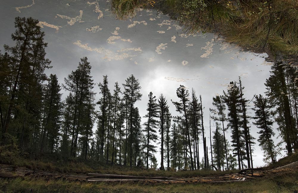 ����� � ����� �����...