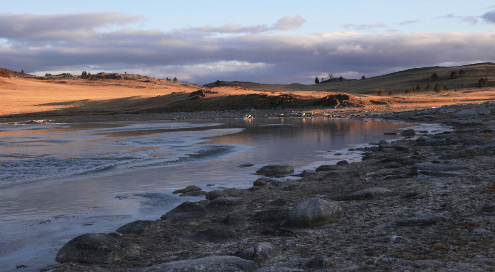 �����������