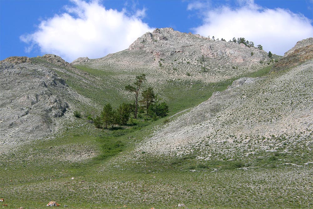 ���������� �����