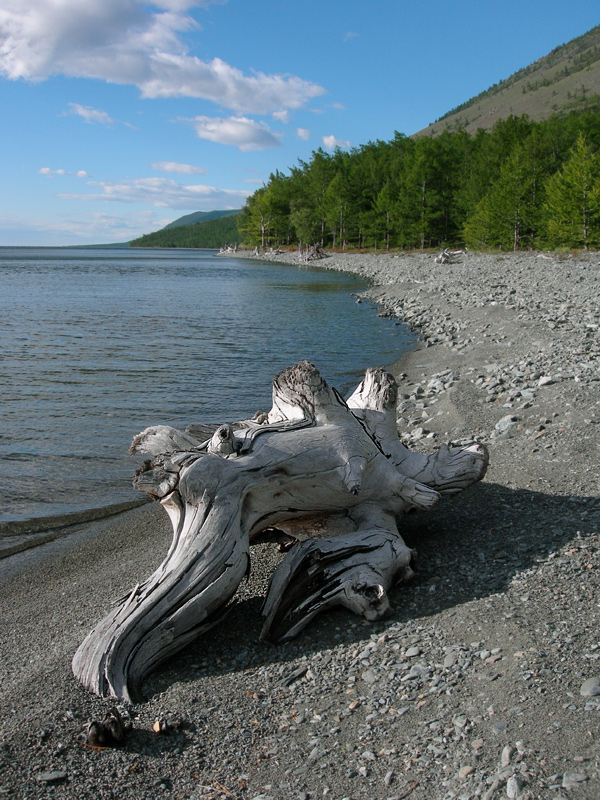 �� ����� �������. ����������.