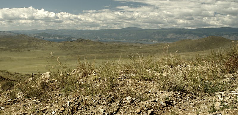 �����-����� �����