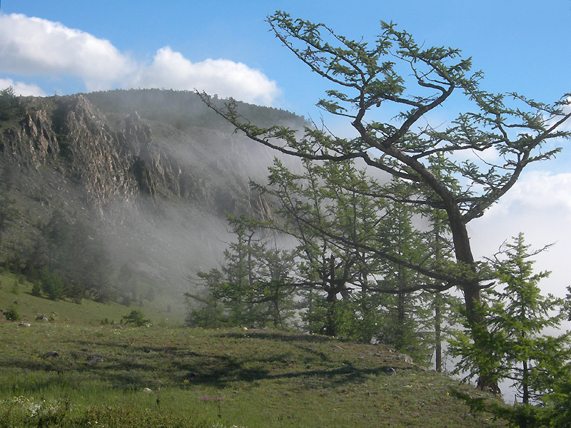 ��������� ������� � ����