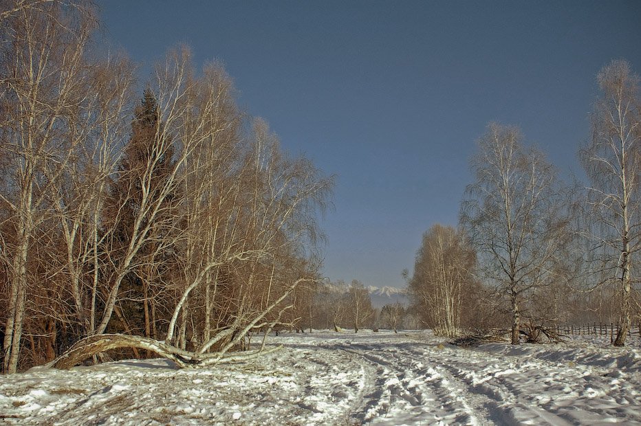 ��������. �������