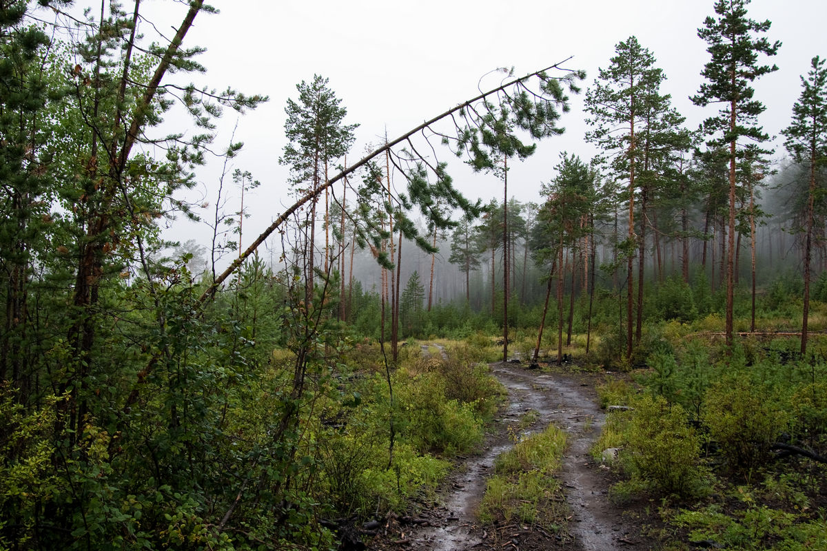 � ������ �������