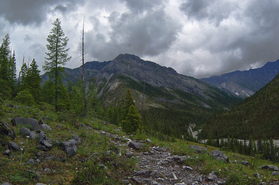 ������ ��������