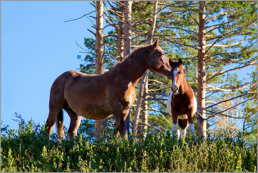 �� ������