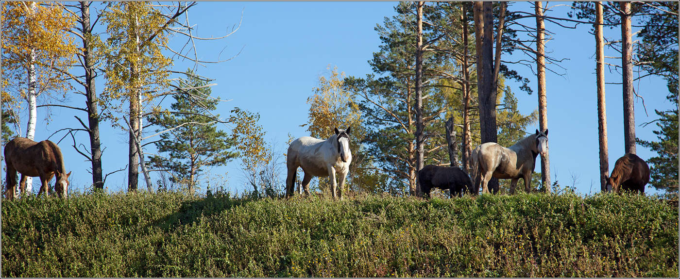 �� ������ (2)