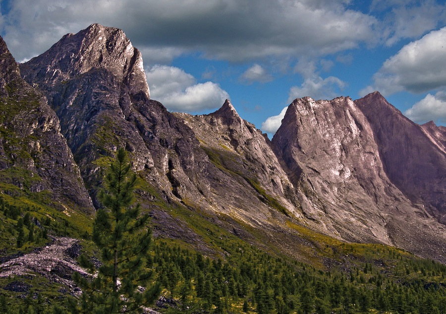 ���� � �������