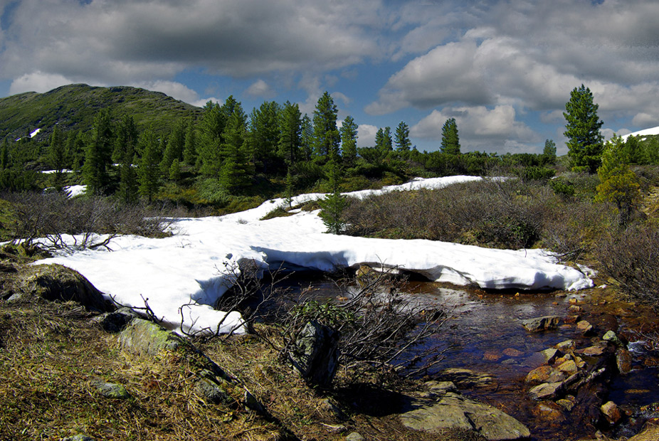 ���� � ׸������ �����