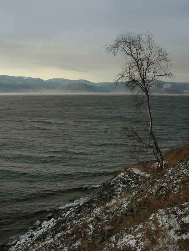 �� ���� ������