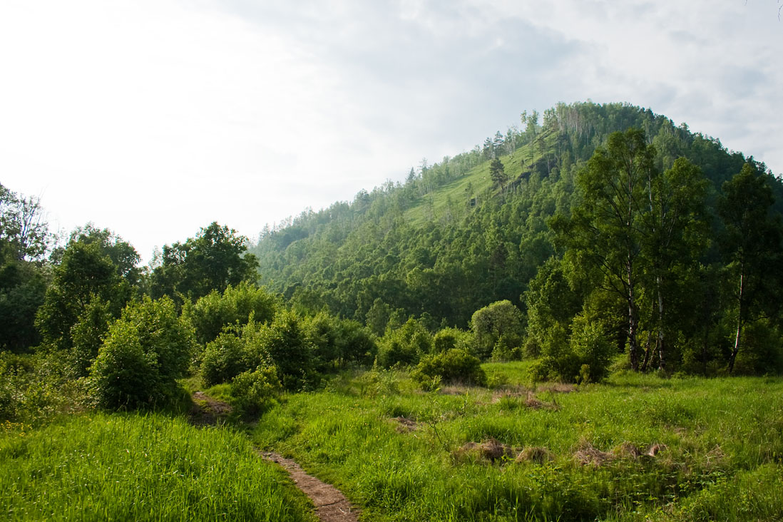 ������ �����