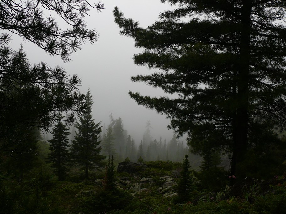 ���-�� ���-�� �����������....