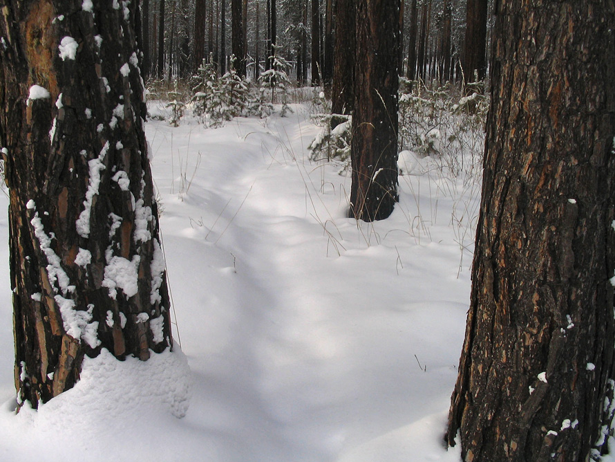  ������ ��������