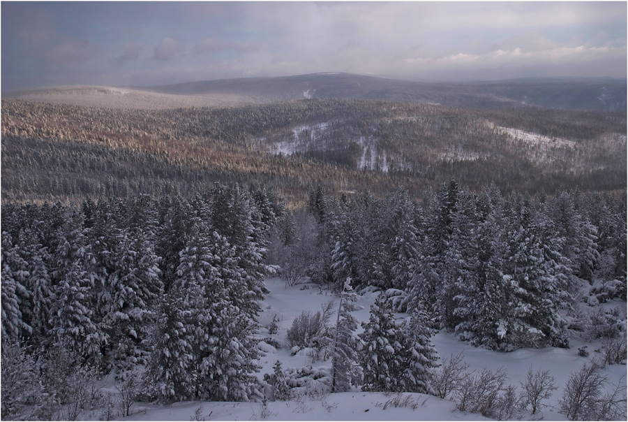 � ����� �� ��������