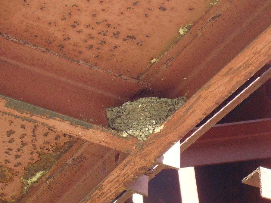 ��������� � ������ �����