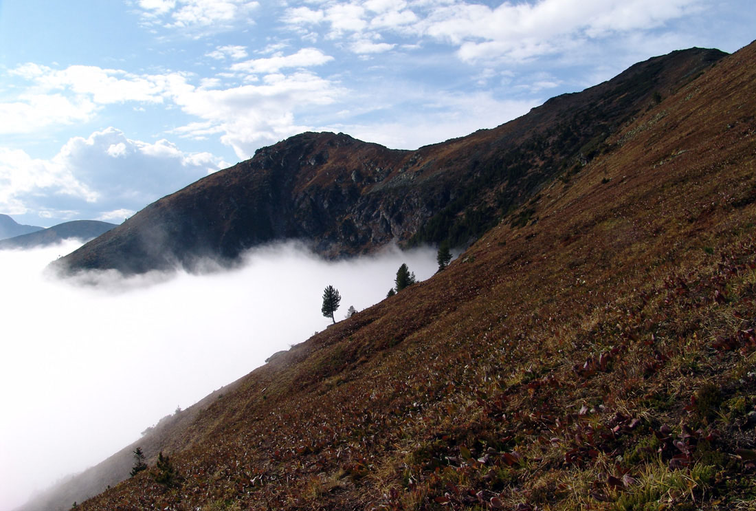 �������� ������