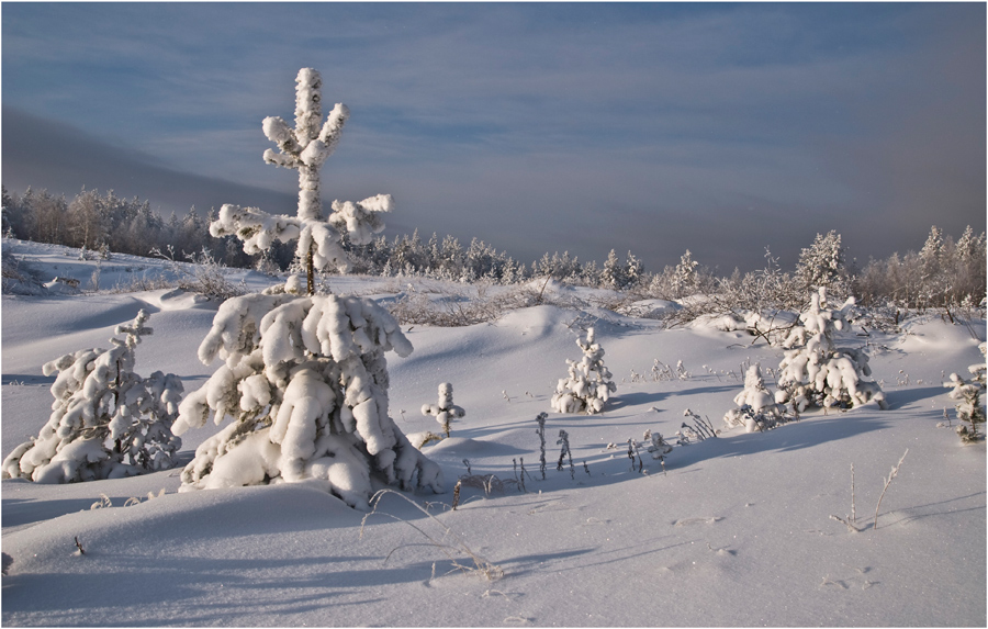 � ������ �����