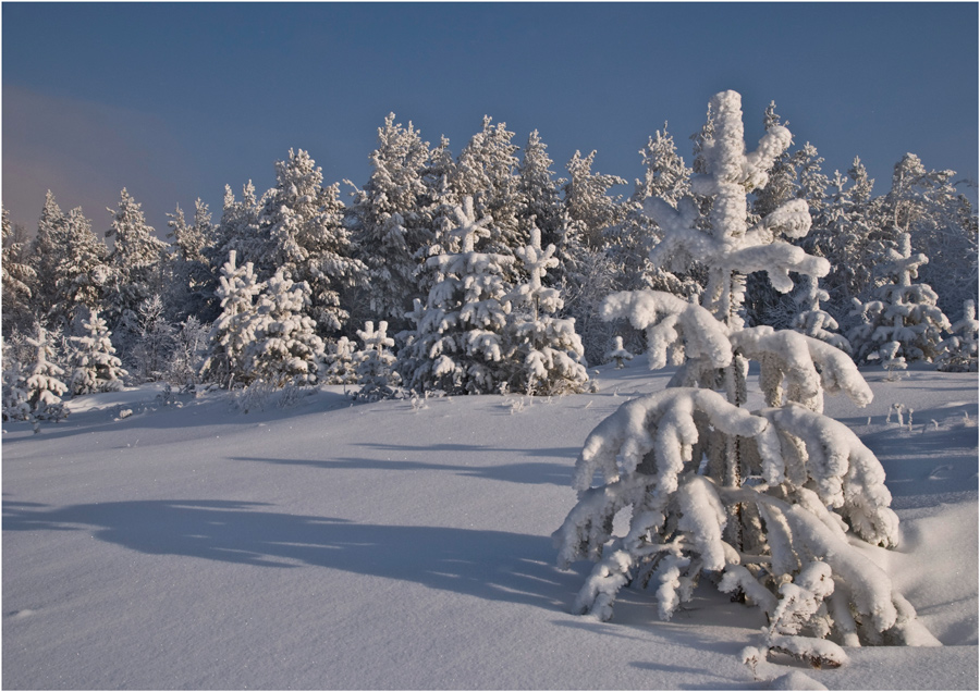 ��������� ����