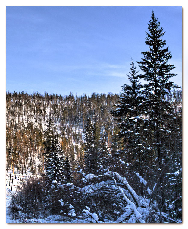 ����������� �����