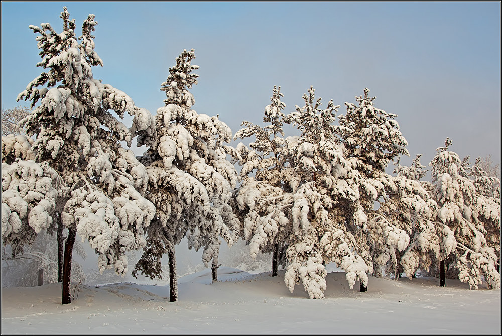 �� ����� - ���������!