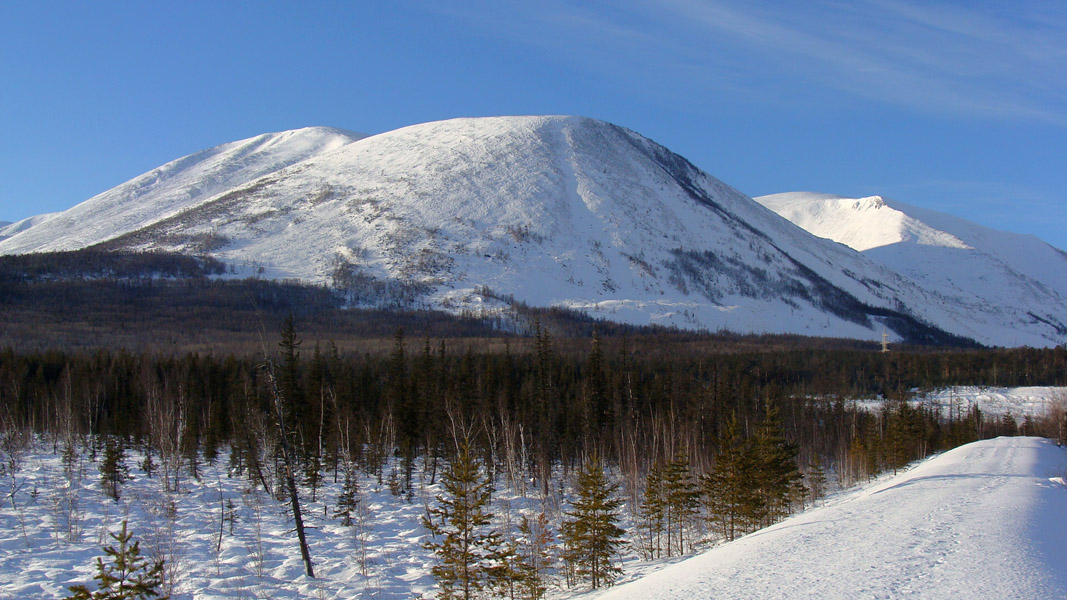 � �������� ������������ ������