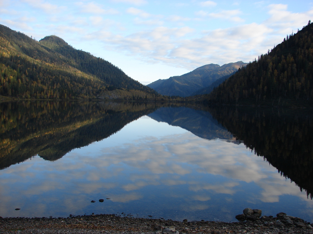 ���� �� ���������