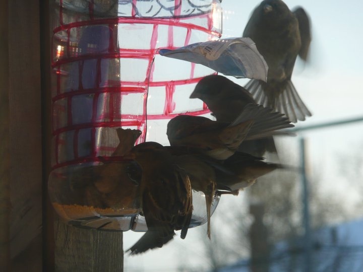 ��� ������ �������� � �����������.