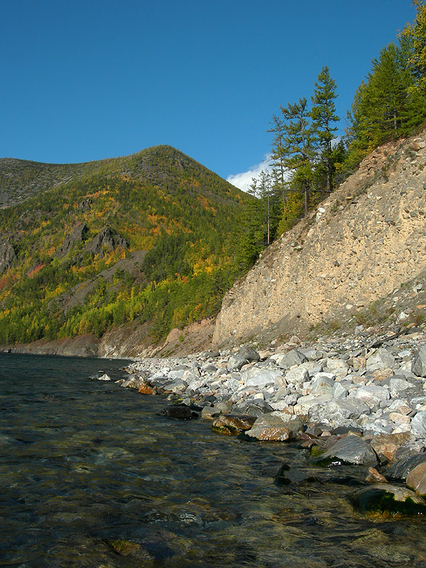 ����� �����