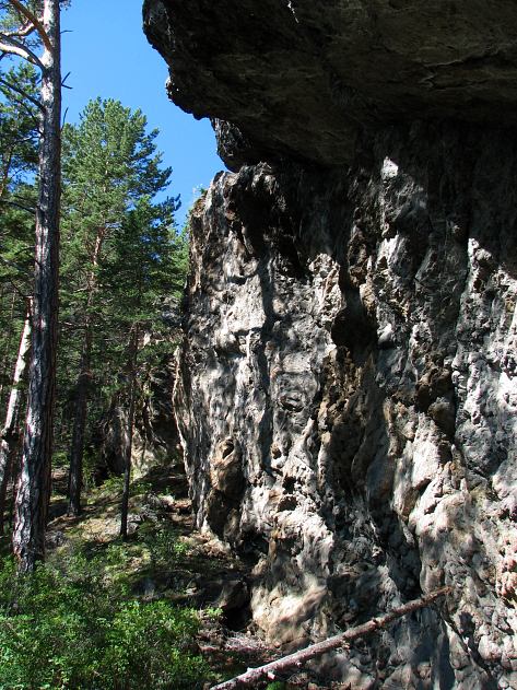 �������� �������� ����� ���� "��� �����" (����� ������ ������)