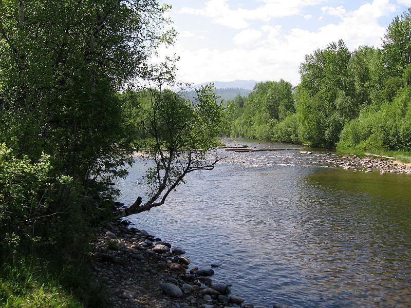 Устье реки фото