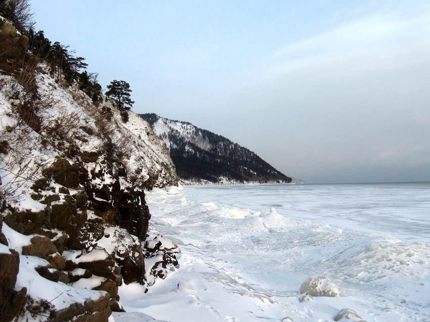 ������. ���������.