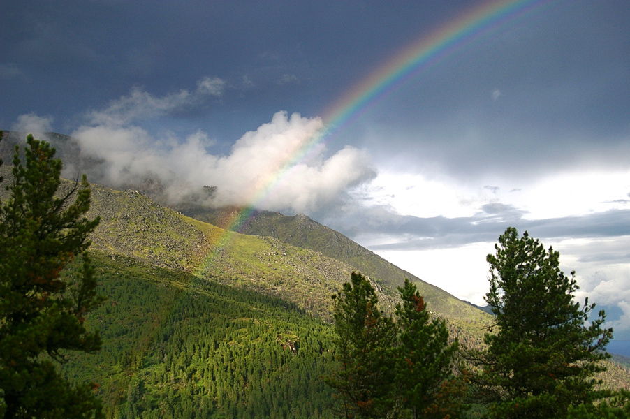 �������� �������