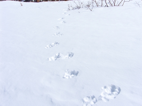 ��� �����?