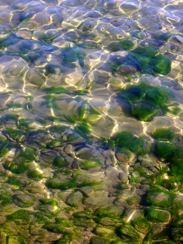 Воды байкала чисты и прозрачны. Прозрачная вода. Прозрачное море. Прозрачная вода в реке. Красивая прозрачная вода.