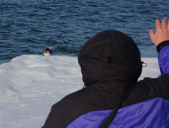 ��, ������ ��� ������...