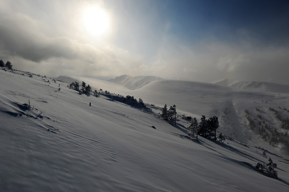 ����� ������ �������.