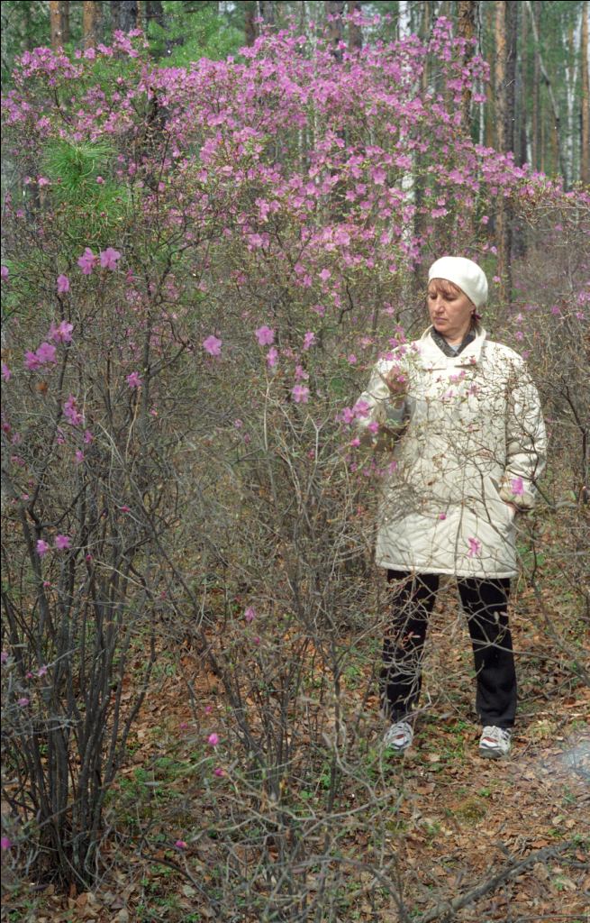 � ����� ��� ��������� ���������