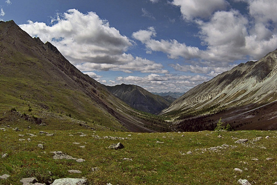 �������� �������