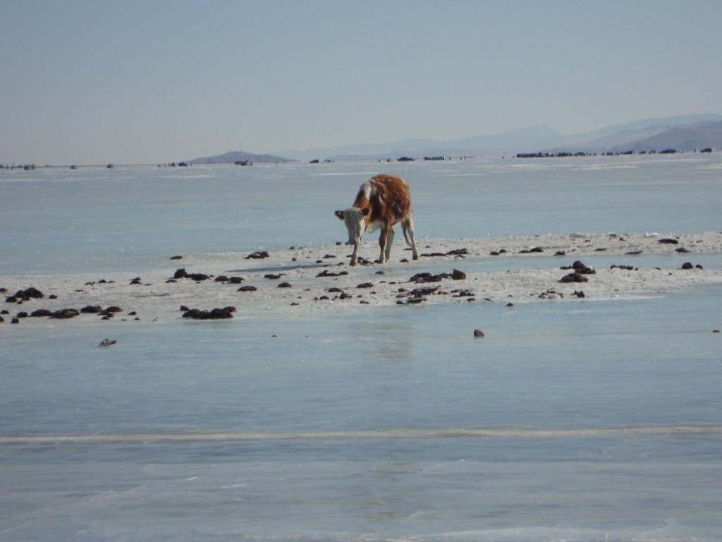 ������� ������